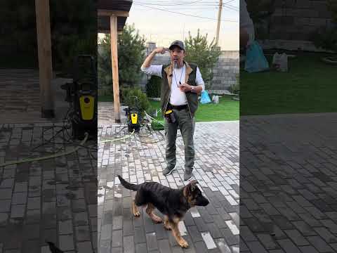 Видео: Железное «Ко Мне ».