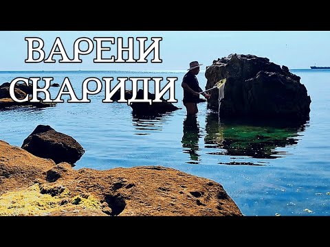 Видео: ВАРЕНИ ЧЕРНОМОРСКИ СКАРИДИ(МОРСКИ ЧЕРЕШИ)! ЧУДНО МЕЗЕ ЗА СТУДЕНА БИРА И ОХЛАДЕНО БЯЛО ВИНЦЕ! ЧУДО!!!