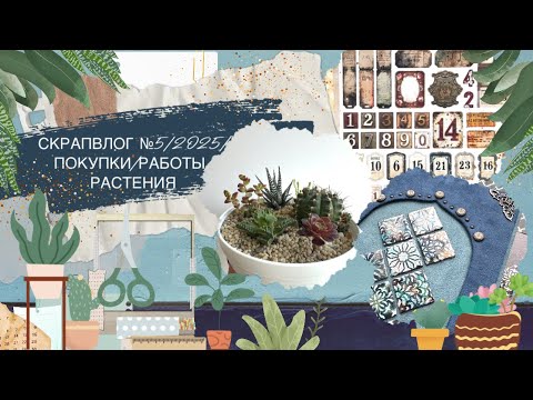 Видео: СкрапВлог №5/2025/покупки/работы/растения