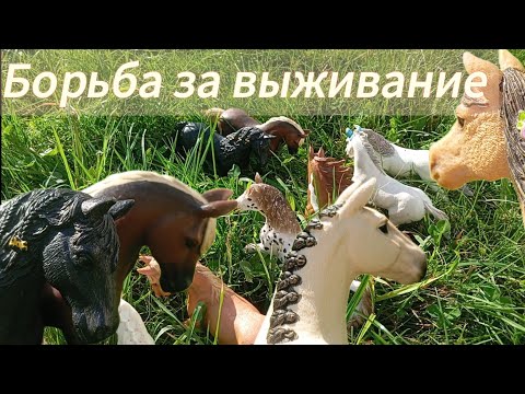 Видео: ,, Борьба за выживание " серия 1// шлайхь фильм// #schleich #лошади #фильм