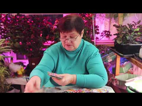 Видео: Продолжаю показывать семена по супер низким ценам!  Обзор семян на новый сезон. Часть 2.