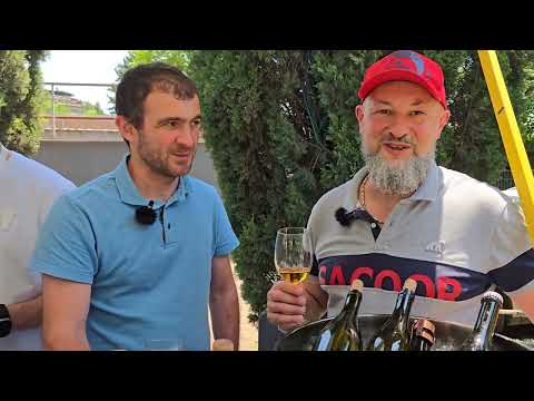 Видео: Новинки главной винной выставки Грузии 2025: вина Tiko Estate