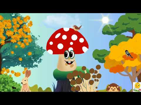 Видео: Казочка про грибочки