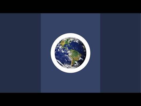 Видео: ПТИЦЫ В ЭФИРЕ 5.11.2025 США