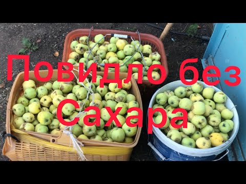 Видео: Повидло из ранеток без сахара.