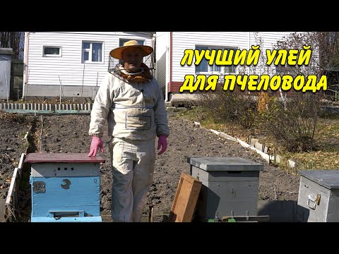 Видео: Лучший улей для пчеловода. Плюсы и минусы каждого. Какой подойдет начинающему?