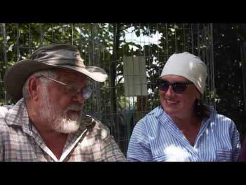 Видео: Как прошел этот год на нашей плантации