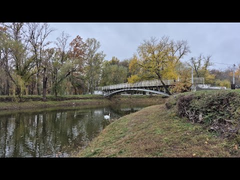 Видео: Запорожье ВСЕ КАК ЕСТЬ БЕЗ ЛИШННГО ПАФОСА ДУБОВИЙ ГАЙ 31.10.2025