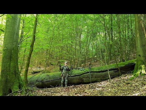 Видео: Солдаты сбросили эти артефакты на склоне...  #forest #metaldetecting #коп #ww2