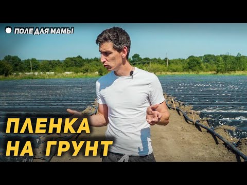 Видео: Бугры под пленкой на новом поле - еще один шаг к урожаю