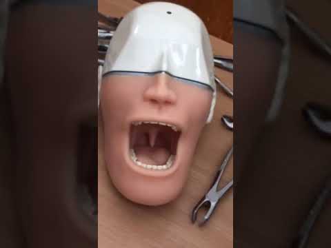 Видео: Удаление зубов . Как выбрать инструмент для удаления зуба ?