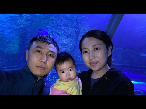 Видео: Ташкентке саяхат // Ташкенттегі екінші кун // Океанариум Magic city // Телебашня Ташкент