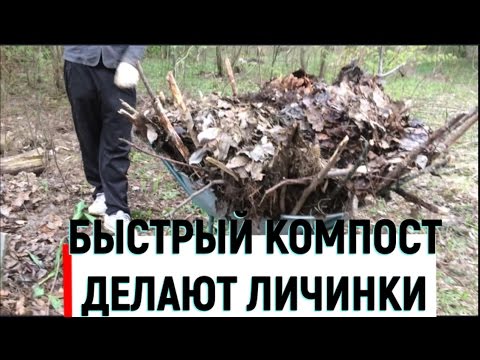 Видео: Быстрое приготовление компоста за сезон без затрат и труда