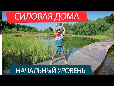 Видео: Круговая силовая на все группы мышц в домашних условиях. Начальный уровень.