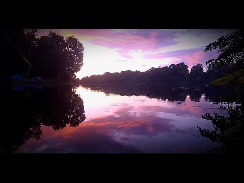 Видео: Рыбалка с ночёвкой на Правдинском водохранилище Калининградская область.