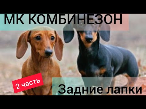 Видео: ❤️МК комбинезон для таксы девочки, 2 часть