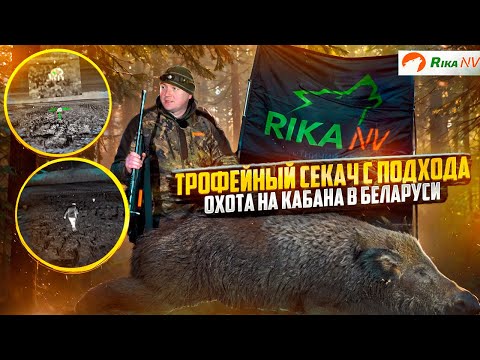 Видео: Трофейный секач с подхода! Охота на кабана в Беларуси 2024! Выстрел с тепловизионного прицела RikaNV