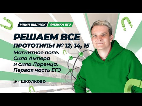 Видео: Решаем ВСЕ прототипы №12, 14, 15 | Магнитное поле.Сила Ампера и сила Лоренца| Первая часть ЕГЭ 2025