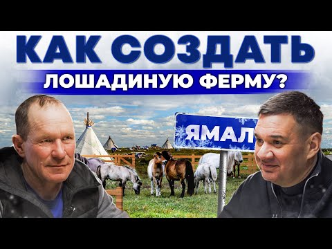 Видео: Конюшня за полярным кругом! Прибыльна ферма в Салехарде | Лучшие породы лошади | Андрей Даниленко