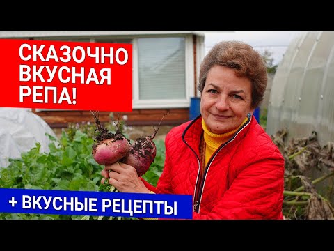 Видео: Сказочно вкусная репа! + вкусные рецепты