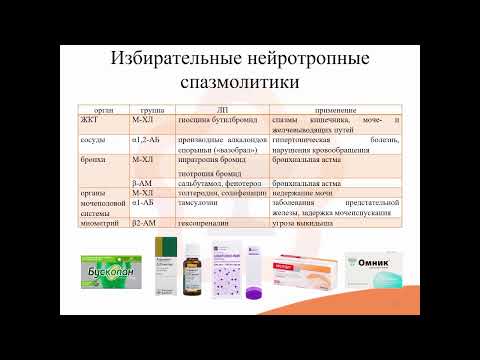 Видео: 23.1. Спазмолитические средства (спазмолитики)