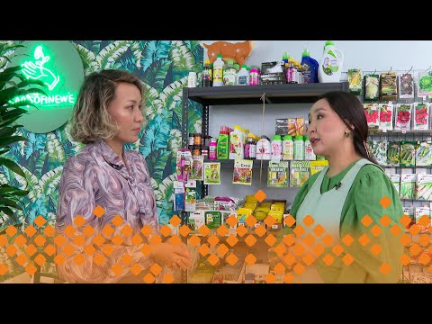 Видео: «Кыыс сайын»   (04.10.24)