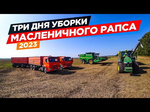 Видео: Шланг на комбайн John Deere за 250 000 рублей.😱 Все встрою, втроём молотят рапс.