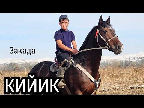 Видео: Заканын КИЙИГИ