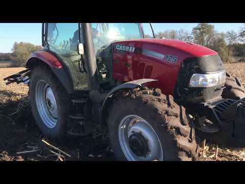 Видео: Оранка по кукурудзі Case125 Maxxum
