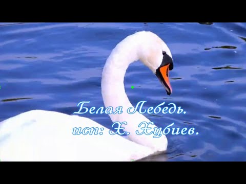 Видео: Белая Лебедь. исп: Хасан Хубиев.