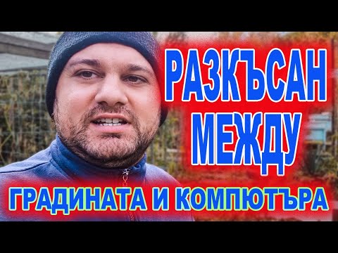 Видео: Живот на село: Защо плановете се объркват?
