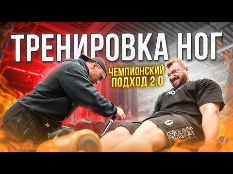 Видео: Путь на Олимпию 2.0 | Тренировка ног | OFF-SEASON