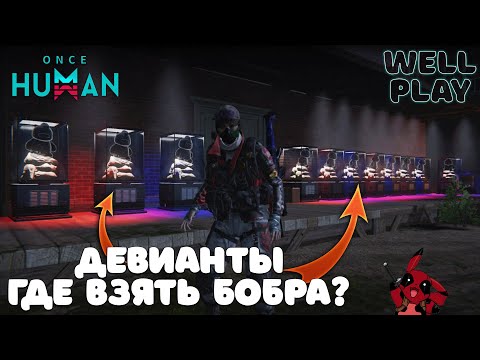 Видео: 12 БОБРОВ за 30 МИНУТ. ФАРМ ПЕТОМЦА 🔥 OnceHumanBeta