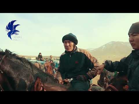 Видео: МУКУ БАЛБАН бир автоуна алды