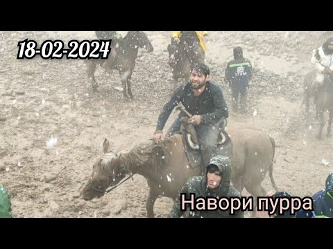 Видео: Бузкаши рузи 18-02-2024 Ховалинг