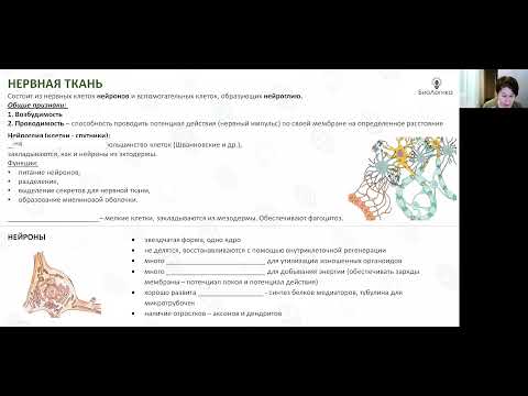 Видео: Лекция 38. Ткани. Часть 2