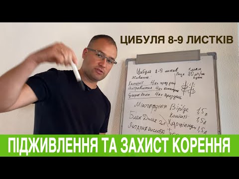 Видео: Чим підживлювати цибулю в фазі 9 листків