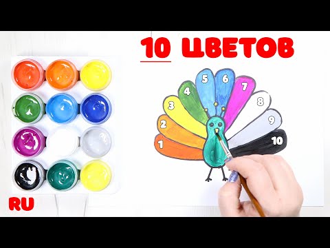 Видео: Учим цвета. ТОП 10 основных цветов. Цвета радуги. Для детей