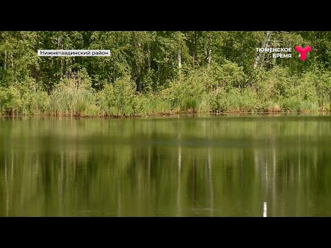 Видео: Самая красивая деревня | Новопокровка