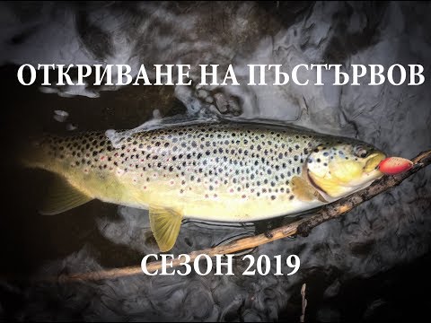 Видео: Риболов на пъстърва. Откриване на пъстървов сезон 2019.