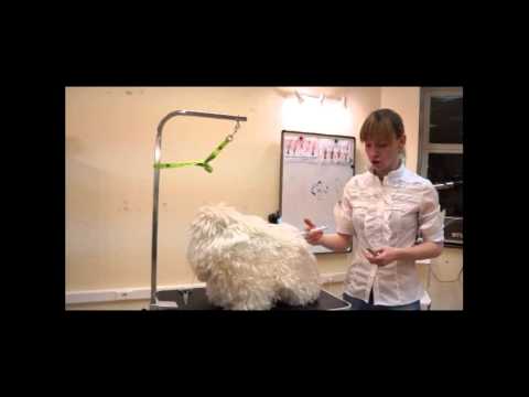 Видео: Упражнение для руки для снятия напряжения при работе с ножницами