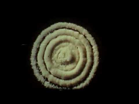 Видео: С.Э. Шноль — Лекция 7. Очерки по истории науки (2015-2016)