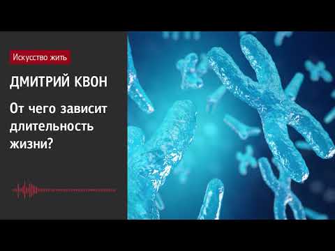 Видео: Дмитрий Квон: От чего зависит длительность жизни?