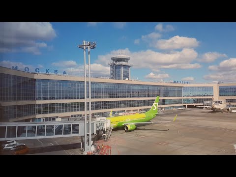 Видео: Московский Аэропорт Домодедово. Не только зеленые.