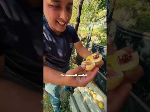 Видео: 14 сентября 2025 г.