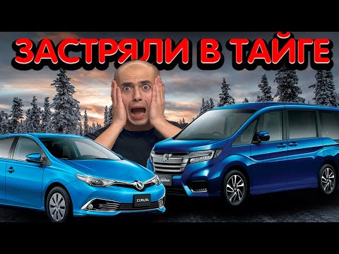 Видео: ЗИМНИЙ ПЕРЕГОН. Toyota AURIS Honda STEPWGN Владивосток-Красноярск. Обзор авто из Японии под заказ!