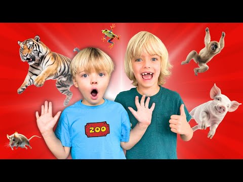 Видео: Милые животные: Самые смешные моменты с Скай и Финном