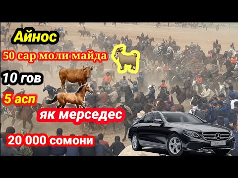 Видео: Бузкашии ш Бохтар 22 03 2022 шохчоиза баромади Бахтовар човандоз