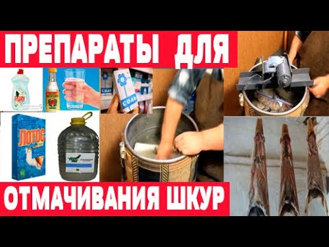 Видео: Химикаты для выделки шкур  Часть 1