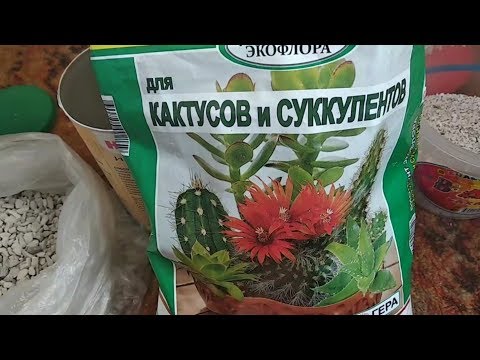 Видео: ДЕНЕЖНОЕ ДЕРЕВО. ГРУНТ. ЗЕМЛЯ. СУБСТРАТ. ЦЕОЛИТ. ГДЕ ВЗЯТЬ? КАКОЙ ЛУЧШЕ?